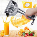 THE BEST FRUIT PRESS 2025