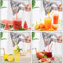 THE BEST FRUIT PRESS 2025