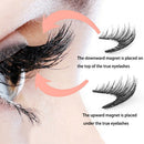 2 PAIRS MAGNETIC EYELASHES™ + NATURAL CURVED EYELASH APPLICATOR