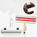 HAIR DUST REMOVER ROLLER